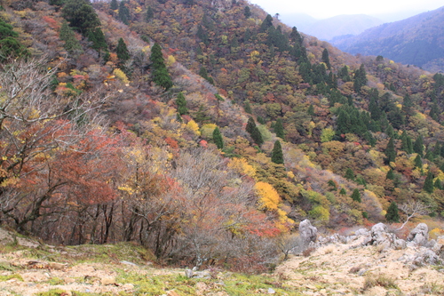 e0304001_23355221.jpg