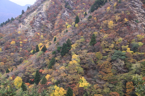 e0304001_2342077.jpg