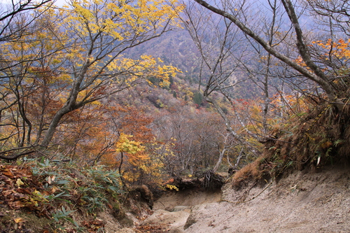 e0304001_23433785.jpg