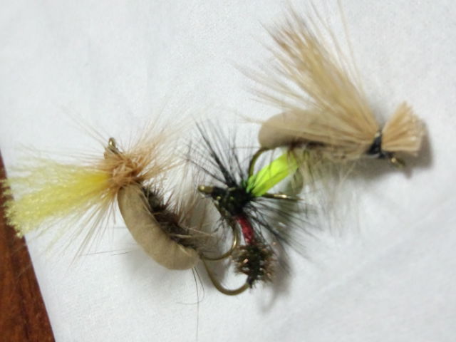 a0028803_22401140.jpg