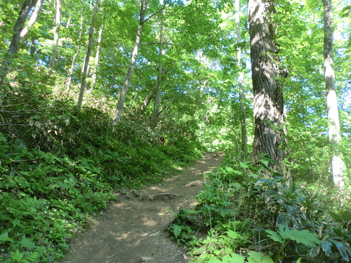 e0242504_15542286.jpg