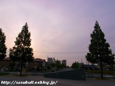 e0145805_12421553.jpg
