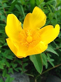 e0098908_17554932.jpg