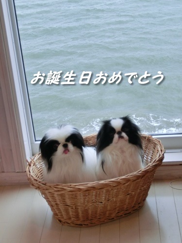 c0200916_23403431.jpg