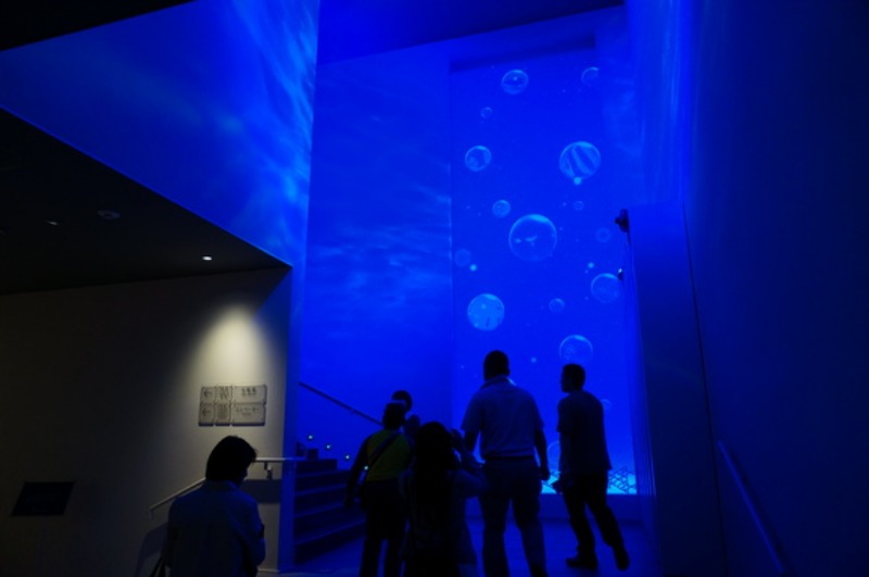 a0287517_14172481.jpg