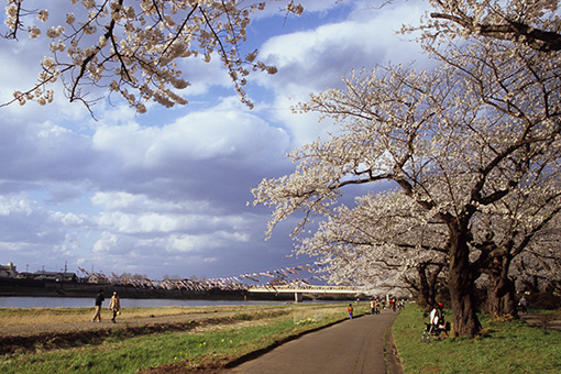 b0259218_113472.jpg