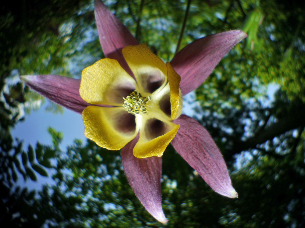 c0145418_16472149.jpg