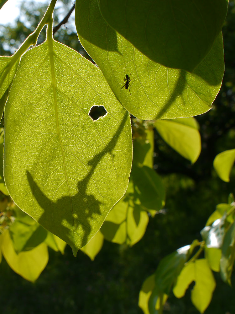c0145418_17115983.jpg