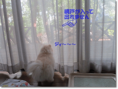 b0167519_982297.gif