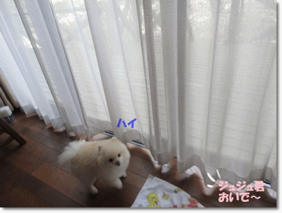 b0167519_98594.gif