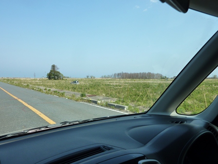 d0153627_15333335.jpg