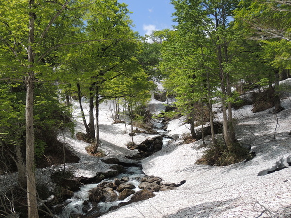 f0118332_22185949.jpg