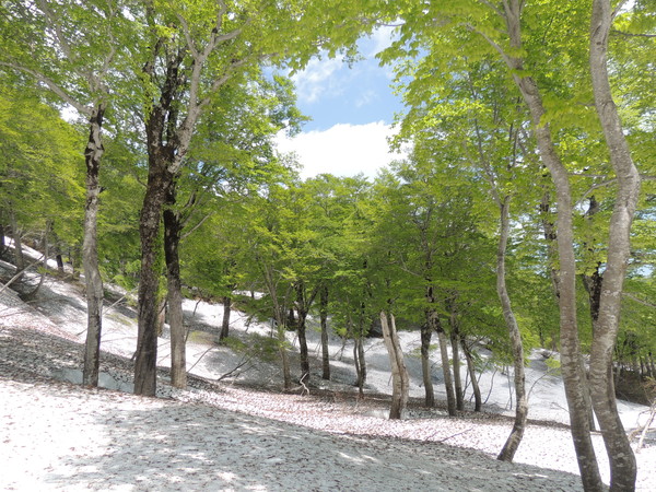 f0118332_22192683.jpg