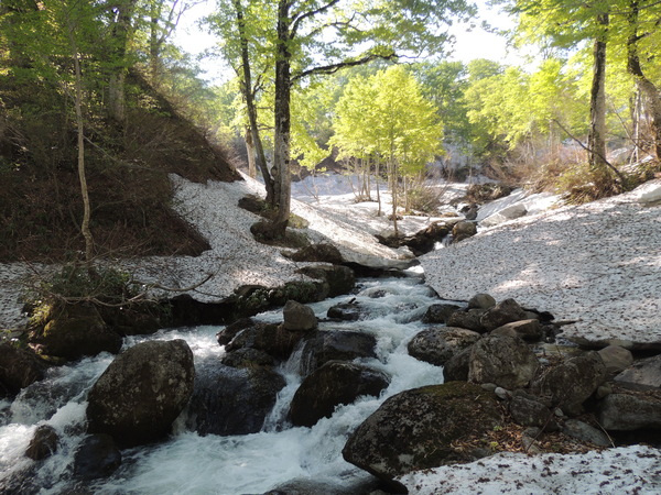 f0118332_2234317.jpg