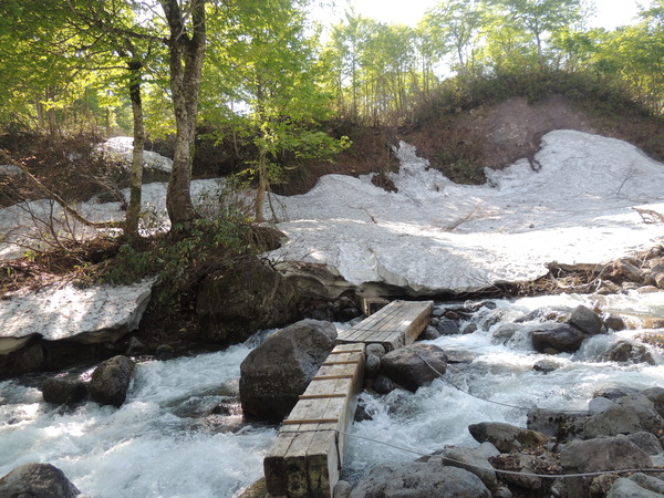 f0118332_2236125.jpg