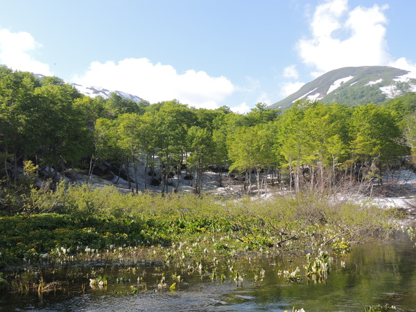 f0118332_22394141.jpg