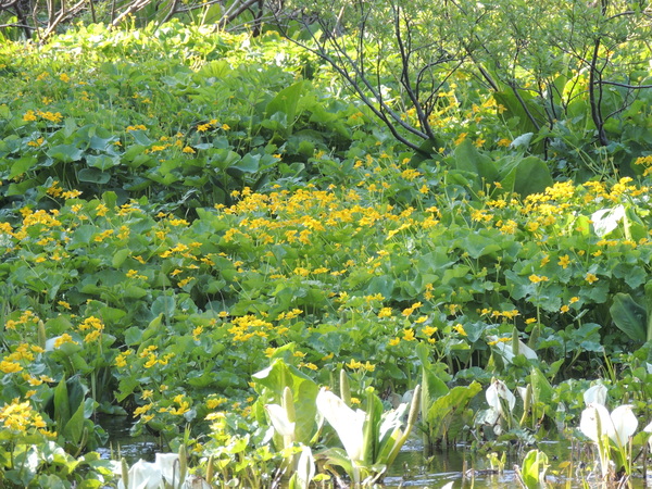 f0118332_2240233.jpg