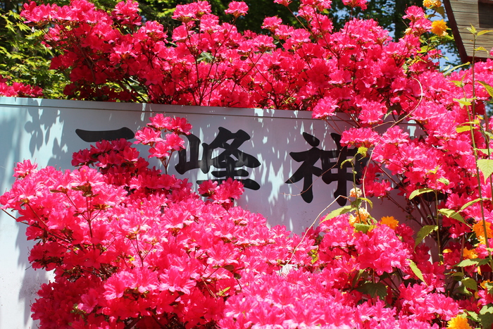 f0248635_0185667.jpg