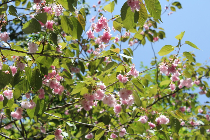 f0248635_0221199.jpg