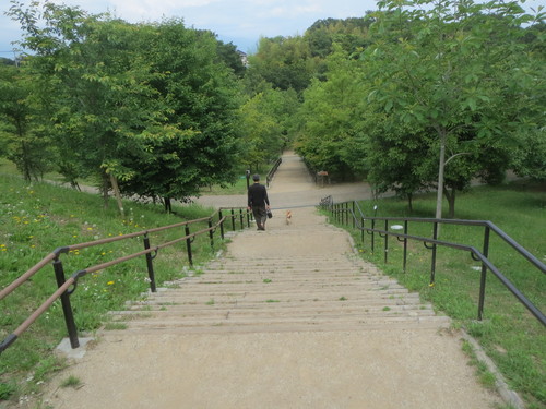 e0259738_5184528.jpg