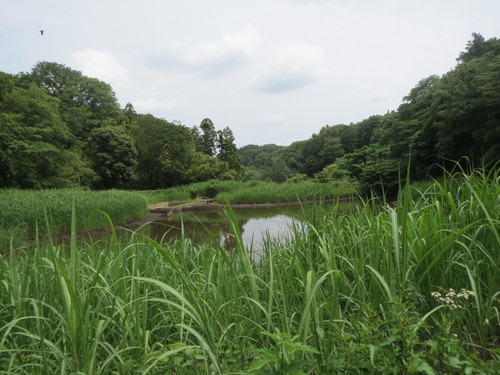 e0259738_5215096.jpg