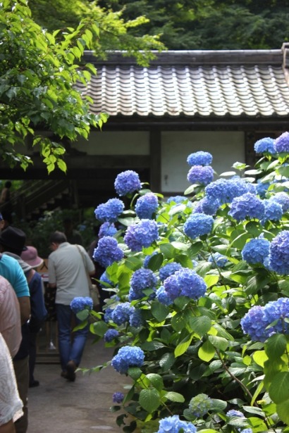 f0157538_22565813.jpg