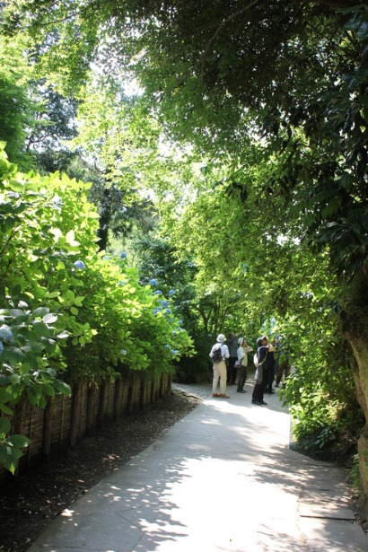 f0157538_2301150.jpg