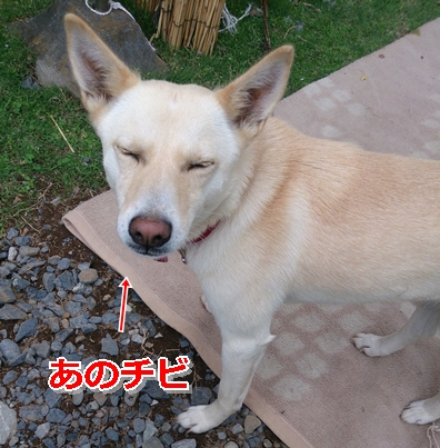 f0195543_15401864.jpg