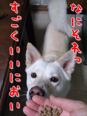 f0195543_23262875.jpg