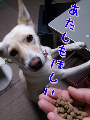 f0195543_2328437.jpg
