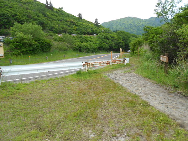 a0206345_10363494.jpg