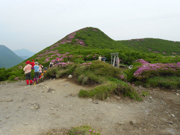 a0206345_9393780.jpg