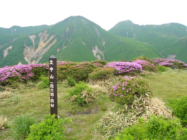 a0206345_9465145.jpg