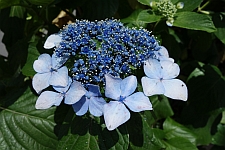 e0080345_925194.jpg