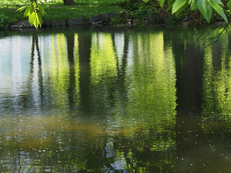 e0305745_22453217.jpg