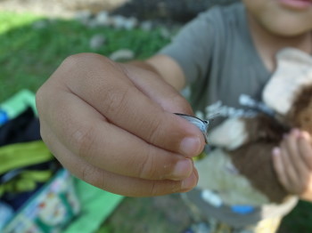 e0269946_1614441.jpg