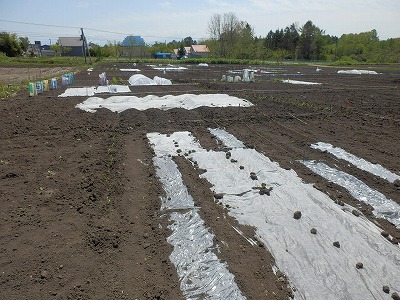 e0004756_20273929.jpg