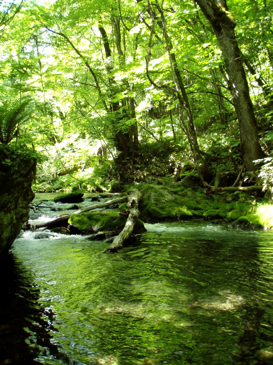 d0283357_1540588.jpg