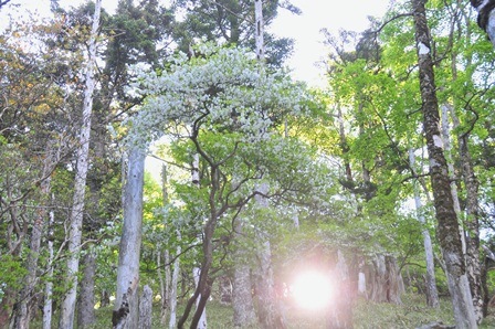 c0303868_863312.jpg