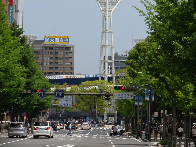 e0078069_884256.jpg