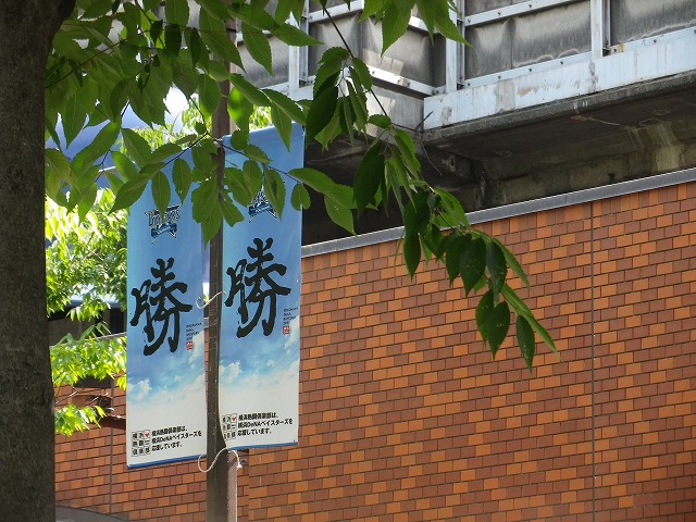 e0078069_885150.jpg