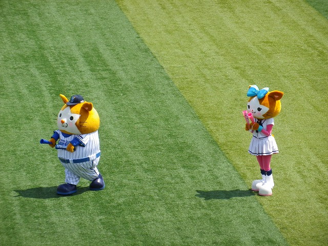 e0078069_891251.jpg