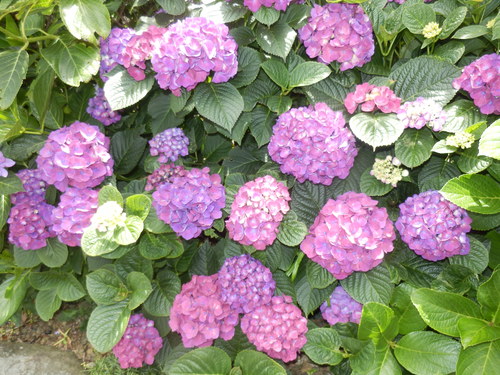 e0292172_2038123.jpg