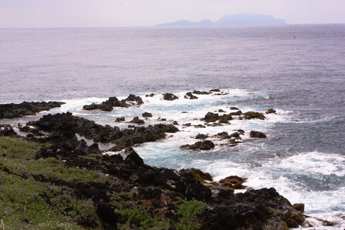c0204385_732360.jpg