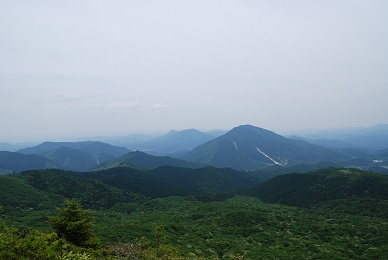 a0133886_1444825.jpg