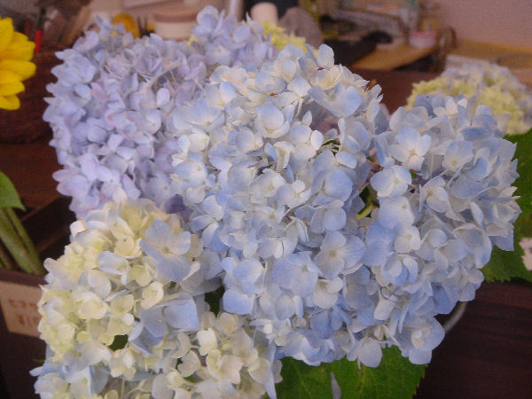 e0140986_1301022.jpg