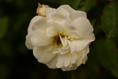 d0166389_9321555.jpg