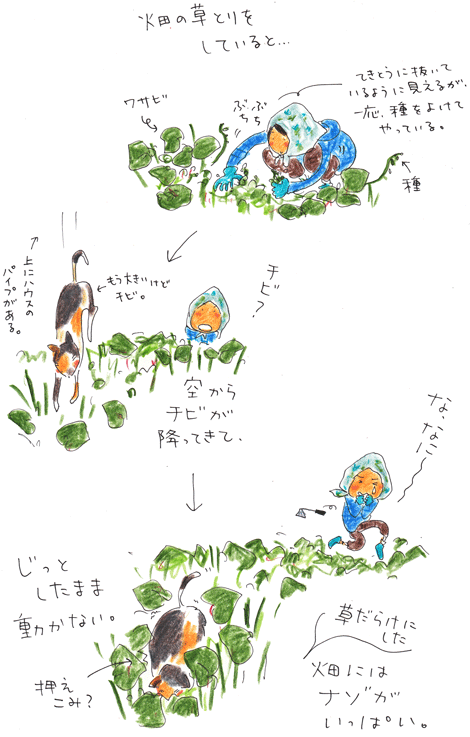 f0236291_8395449.gif