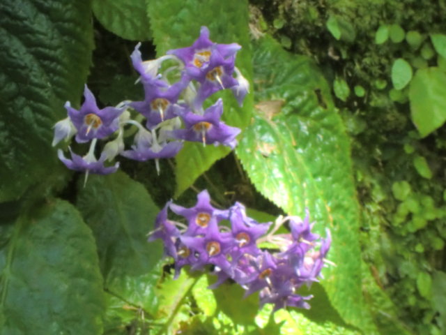 b0044296_22255345.jpg