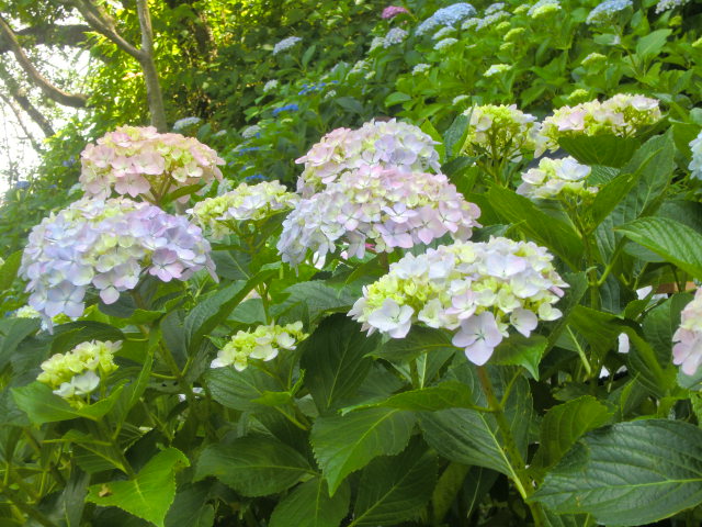 b0044296_2251125.jpg